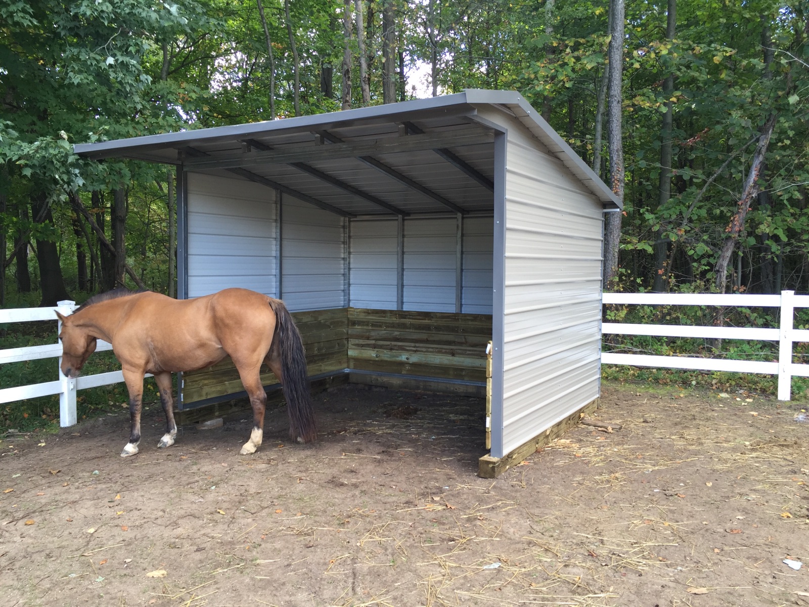 Horse Shed in Conklin