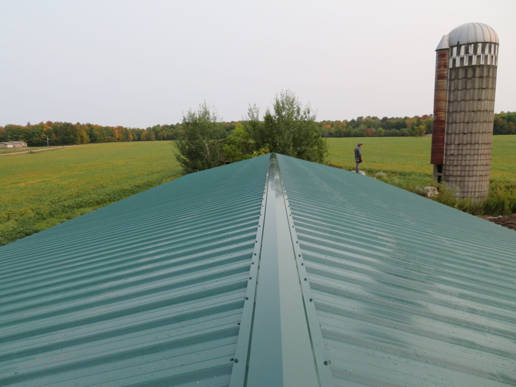 Metal-vertical-roof